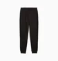 Спортивный костюм мужской Puma Essentials No. 1 Logo Black 686776-01__686785-01