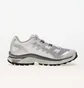 Кроссовки мужские Salomon Xt-4 Og Metallic L47568400