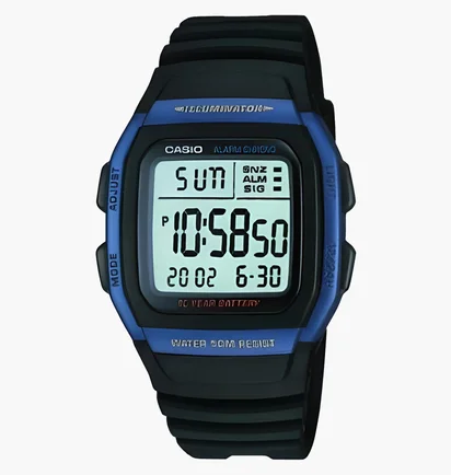 Часы мужские Casio W-96H-2AVEF
