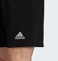 Шорты мужские Adidas Entrada 22 Shorts Black H57504