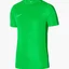 Футболка мужская Nike T-Shirt Dri-Fit Academy Green DR1336-329