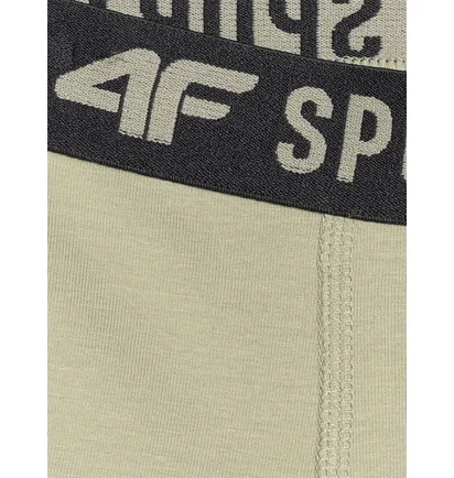 Труси дитячі 4F (3 шт) Multi 4FJWAW25UBXSM061-91S