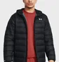 Пуховик чоловічий Under Armour Legend Down Black 1385837-001