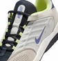 Кросівки чоловічі Nike Sb Vertebrae Shoes Beige FD4691-101