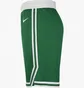 Шорты мужские Nike Nba Swingman Boston Celtics Icon Edition Green AJ5587-312