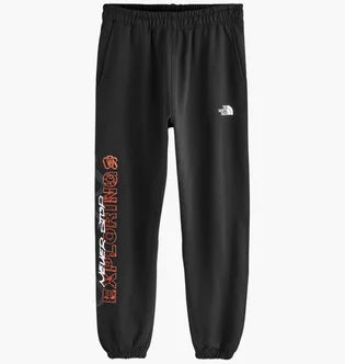 Штани чоловічі The North Face Nse Black AC3-221