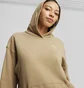 Спортивний костюм жіночий Puma Home Suit Brown 679920-83