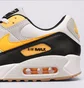 Кросівки чоловічі Nike Air Max 90 Grey FB9658-101