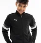Спортивный костюм детский Puma Teamrise Black 658655-03