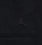 Шорты мужские Air Jordan Ess Stmt Chi Black HF9365-010