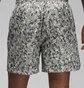 Шорти чоловічі Air Jordan M J Ess Poolside Aop Short Grey FN4635-133