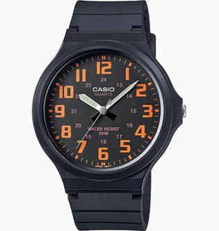 Часы мужские Casio Standard MW-240-4B