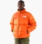 Пуховик чоловічий The North Face 1996 Retro Nuptse Jacket Orange NF0A3C8D19N