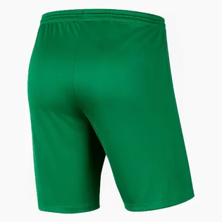 Шорты детские Nike Y Nk Df Park Iii Short Nb K Green Bv6865-302