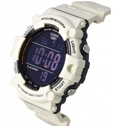 Часы мужские Casio Timeless Collection Df AE-1500WH-8B2