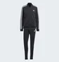 Спортивний костюм жіночий Adidas Essentials 3-Stripes Black IJ8781