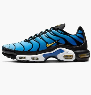 Кроссовки мужские Nike Air Max Plus Og Blue DX0755-001