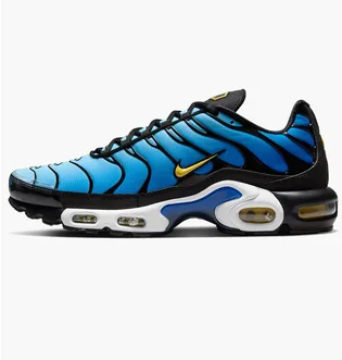 Кроссовки мужские Nike Air Max Plus Og Blue DX0755-001