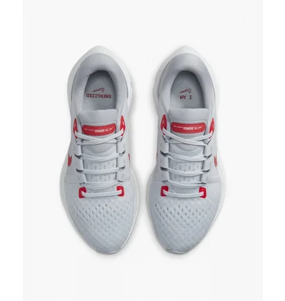 Кросівки жіночі Nike Vomero 16 Grey Da7698-005