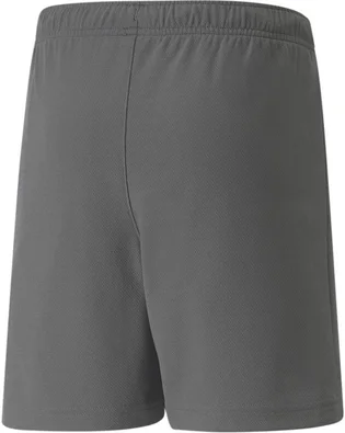 Шорти дитячі Puma Teamrise Short Jr Grey 70494313