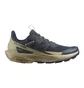 Кроссовки мужские Salomon Elixir Activ Blue L47455300