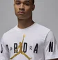 Футболка мужская Air Jordan T-Shirt Air White DV1445-102
