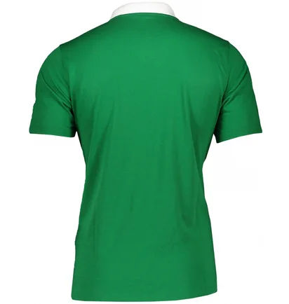 Поло чоловіче Nike Shirt M Nk Df Park20 Polo Ss Green CW6933-302