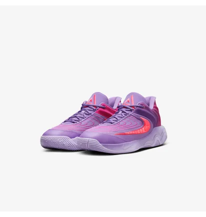 Кроссовки мужские Nike Immortality 4 Violet FQ3680-500