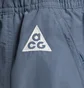 Шорты мужские Nike Acg Snowgrass Cargo Shorts Blue DV9405-491