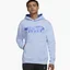 Худи мужское Air Jordan Essential Fleece Graphic Hoodie Powder Light Blue Dh5481-469