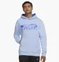 Худи мужское Air Jordan Essential Fleece Graphic Hoodie Powder Light Blue Dh5481-469