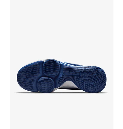 Кроссовки унисекс Nike LEBRON WITNESS V Blue CQ9380-400