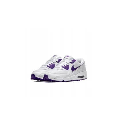 Кросівки чоловічі Nike Air Max 90 MenS Shoe White CT1028-100