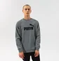Свитшот мужской Puma Ess Big Logo Crew Fl - Medium Gray Heather Grey 58667803