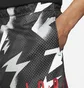 Шорты мужские Air Jordan M J Jumpman Air Msh Aop Short Grey CZ4757-010