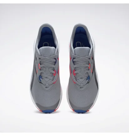 Кросівки чоловічі Reebok Floatride Energy 5 Grey GY0073