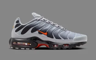 Кроссовки мужские Nike Air Max Plus Wolf Grey DM0032-011