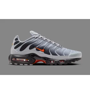 Кросівки чоловічі Nike Air Max Plus Wolf Grey DM0032-011