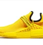 Кросівки чоловічі Adidas Hu Nmd Yellow GY0091