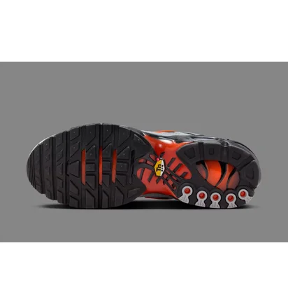 Кросівки чоловічі Nike Air Max Plus Wolf Grey DM0032-011