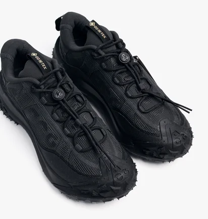 Кроссовки мужские Nike Acg Mountain Fly 2 Low Gtx Sneaker Black HF6245-001
