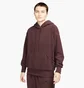 Худі жіноче Nike Sportswear Plush Brown Dq6840-652