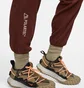 Штаны мужские Nike Acg Polartec® Wolf Tree Pants Brown CV0658-217