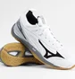 Кроссовки мужские Mizuno Wave Mirage 2.1 White/Grey X1GA1850-09