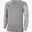 Лонгслів дитячий Nike Jr Dry Park Iv Grey CJ6072-052