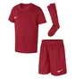 Спортивний костюм дитячий Nike Dry Park 20 Kit Set Bordo CD2244-657