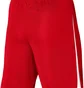 Шорты мужские Nike Shorts League Iii Knit Short Red DR0960-657