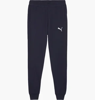 Штаны мужские Puma Teamgoal Casuals Blue 658598-06