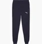 Штаны мужские Puma Teamgoal Casuals Blue 658598-06