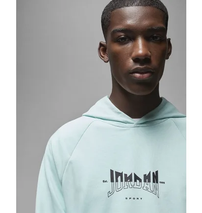 Худи мужское Air Jordan Dri-Fit Sport Graphic Fleece Pullover Hoodie Light Blue FQ6808-346